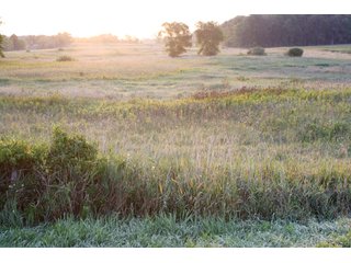Property photo 3 - 70.6 Acres Offered in 4 Tracts - Land Auction