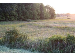 Property photo 1 - 70.6 Acres Offered in 4 Tracts - Land Auction