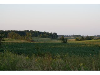 Property photo 4 - 70.6 Acres Offered in 4 Tracts - Land Auction