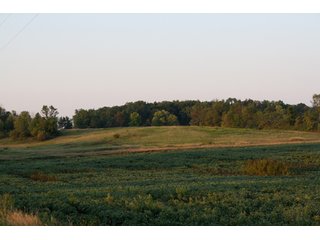 Property photo 10 - 70.6 Acres Offered in 4 Tracts - Land Auction