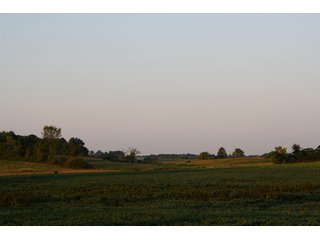 Property photo 12 - 70.6 Acres Offered in 4 Tracts - Land Auction