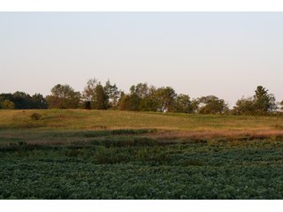 Property photo 9 - 70.6 Acres Offered in 4 Tracts - Land Auction