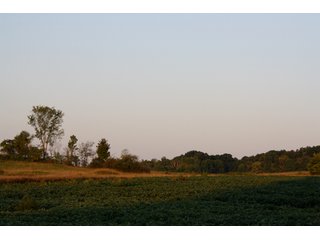 Property photo 6 - 70.6 Acres Offered in 4 Tracts - Land Auction