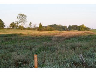 Property photo 5 - 70.6 Acres Offered in 4 Tracts - Land Auction