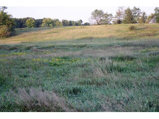 Property photo 11 - 70.6 Acres Offered in 4 Tracts - Land Auction