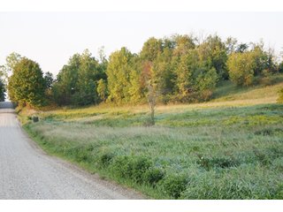 Property photo 2 - 70.6 Acres Offered in 4 Tracts - Land Auction