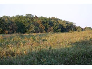 Property photo 8 - 70.6 Acres Offered in 4 Tracts - Land Auction