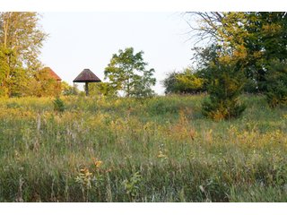Property photo 7 - 70.6 Acres Offered in 4 Tracts - Land Auction