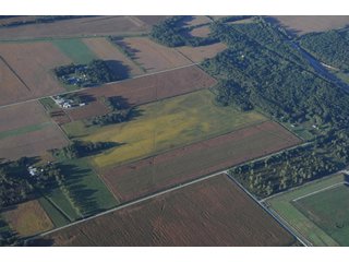 Property photo 76 - 500 +/- Acres Offered in 9 Tracts - Northwest Indiana Real Estate Auction