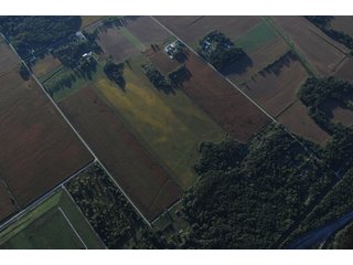 Property photo 21 - 500 +/- Acres Offered in 9 Tracts - Northwest Indiana Real Estate Auction