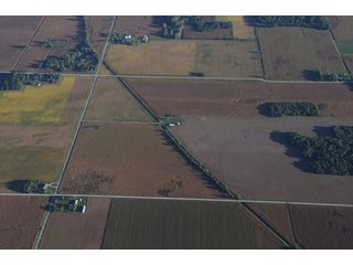 Property photo 40 - 500 +/- Acres Offered in 9 Tracts - Northwest Indiana Real Estate Auction