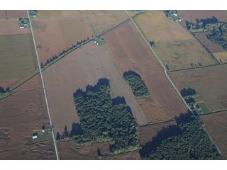 Property photo 4 - 500 +/- Acres Offered in 9 Tracts - Northwest Indiana Real Estate Auction