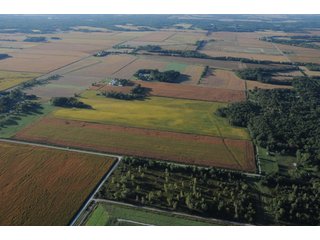 Property photo 63 - 500 +/- Acres Offered in 9 Tracts - Northwest Indiana Real Estate Auction