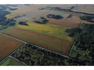 Property photo 23 - 500 +/- Acres Offered in 9 Tracts - Northwest Indiana Real Estate Auction
