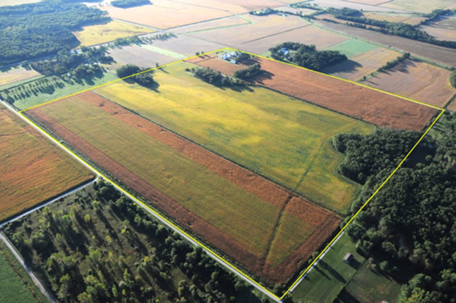 500 +/- Acres Offered in 9 Tracts - Northwest Indiana Real Estate Auction