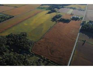 Property photo 31 - 500 +/- Acres Offered in 9 Tracts - Northwest Indiana Real Estate Auction