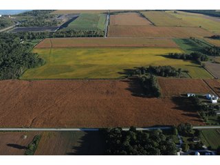 Property photo 95 - 500 +/- Acres Offered in 9 Tracts - Northwest Indiana Real Estate Auction