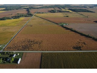 Property photo 98 - 500 +/- Acres Offered in 9 Tracts - Northwest Indiana Real Estate Auction