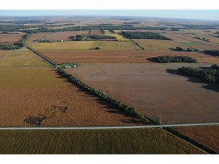 Property photo 35 - 500 +/- Acres Offered in 9 Tracts - Northwest Indiana Real Estate Auction