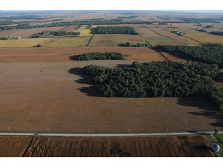 Property photo 62 - 500 +/- Acres Offered in 9 Tracts - Northwest Indiana Real Estate Auction