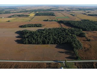 Property photo 30 - 500 +/- Acres Offered in 9 Tracts - Northwest Indiana Real Estate Auction