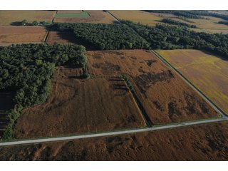 Property photo 28 - 500 +/- Acres Offered in 9 Tracts - Northwest Indiana Real Estate Auction