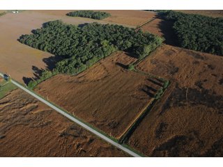 Property photo 96 - 500 +/- Acres Offered in 9 Tracts - Northwest Indiana Real Estate Auction