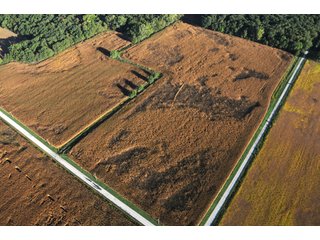 Property photo 61 - 500 +/- Acres Offered in 9 Tracts - Northwest Indiana Real Estate Auction