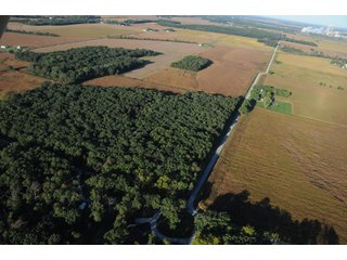 Property photo 90 - 500 +/- Acres Offered in 9 Tracts - Northwest Indiana Real Estate Auction