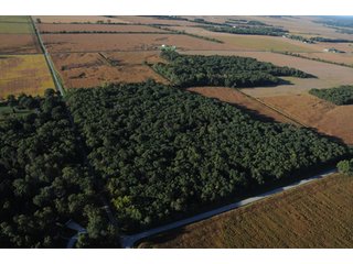 Property photo 13 - 500 +/- Acres Offered in 9 Tracts - Northwest Indiana Real Estate Auction