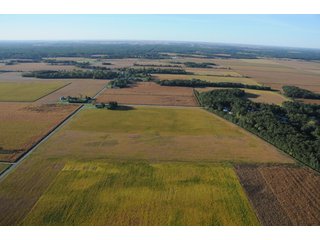 Property photo 45 - 500 +/- Acres Offered in 9 Tracts - Northwest Indiana Real Estate Auction