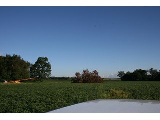 Property photo 51 - 500 +/- Acres Offered in 9 Tracts - Northwest Indiana Real Estate Auction