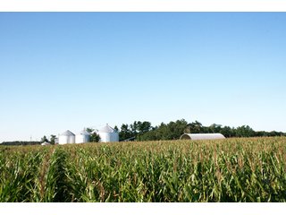 Property photo 44 - 500 +/- Acres Offered in 9 Tracts - Northwest Indiana Real Estate Auction