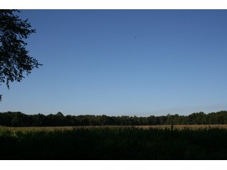 Property photo 82 - 500 +/- Acres Offered in 9 Tracts - Northwest Indiana Real Estate Auction