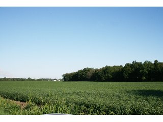 Property photo 37 - 500 +/- Acres Offered in 9 Tracts - Northwest Indiana Real Estate Auction