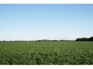 Property photo 85 - 500 +/- Acres Offered in 9 Tracts - Northwest Indiana Real Estate Auction