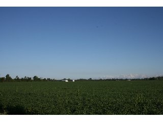 Property photo 38 - 500 +/- Acres Offered in 9 Tracts - Northwest Indiana Real Estate Auction