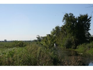 Property photo 12 - 500 +/- Acres Offered in 9 Tracts - Northwest Indiana Real Estate Auction