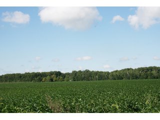 Property photo 74 - 500 +/- Acres Offered in 9 Tracts - Northwest Indiana Real Estate Auction