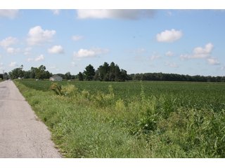 Property photo 72 - 500 +/- Acres Offered in 9 Tracts - Northwest Indiana Real Estate Auction