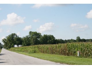 Property photo 68 - 500 +/- Acres Offered in 9 Tracts - Northwest Indiana Real Estate Auction