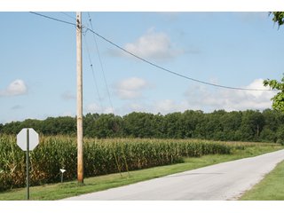 Property photo 3 - 500 +/- Acres Offered in 9 Tracts - Northwest Indiana Real Estate Auction