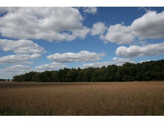 Property photo 64 - 500 +/- Acres Offered in 9 Tracts - Northwest Indiana Real Estate Auction