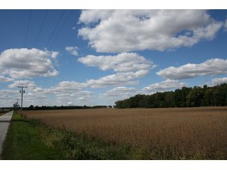 Property photo 6 - 500 +/- Acres Offered in 9 Tracts - Northwest Indiana Real Estate Auction