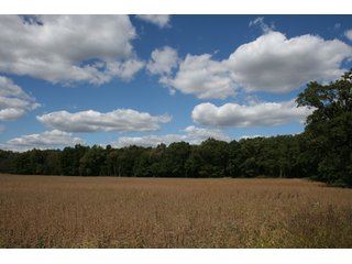 Property photo 67 - 500 +/- Acres Offered in 9 Tracts - Northwest Indiana Real Estate Auction