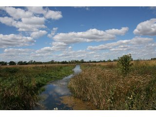 Property photo 42 - 500 +/- Acres Offered in 9 Tracts - Northwest Indiana Real Estate Auction