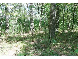 Property photo 16 - 500 +/- Acres Offered in 9 Tracts - Northwest Indiana Real Estate Auction