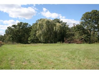 Property photo 47 - 500 +/- Acres Offered in 9 Tracts - Northwest Indiana Real Estate Auction