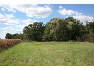 Property photo 100 - 500 +/- Acres Offered in 9 Tracts - Northwest Indiana Real Estate Auction