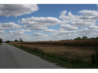 Property photo 79 - 500 +/- Acres Offered in 9 Tracts - Northwest Indiana Real Estate Auction